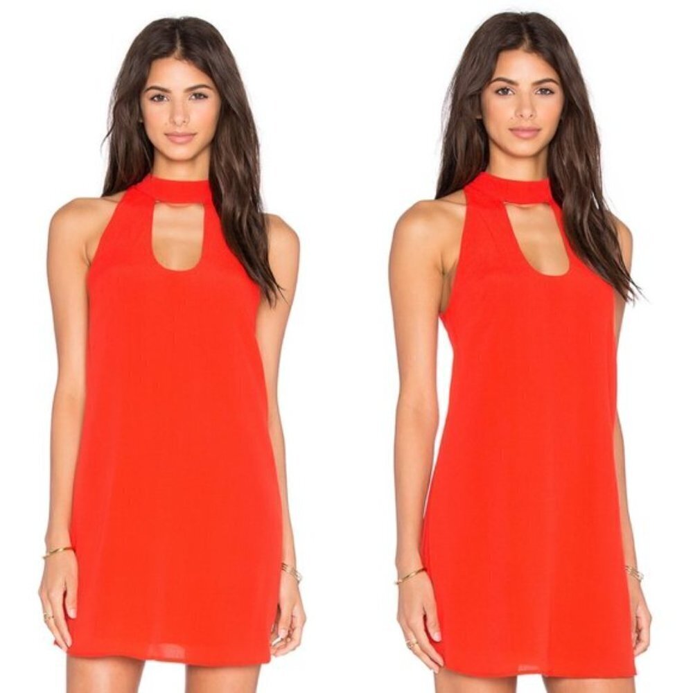 Lovers + Friends "Beautiful Escape" Mini Dress